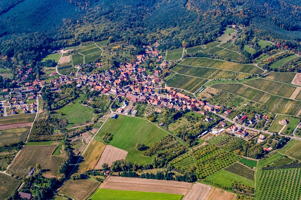 Luftbild: Ortsansicht von Osten in Rott im Bundesland Bas-Rhin in Frankreich. – Foto: IMG_13612.jpg vom 28.09.2008 durch Werner Riehm/FLY-FOTO.de – Auflösung des Originals: 3456 x 2304 px