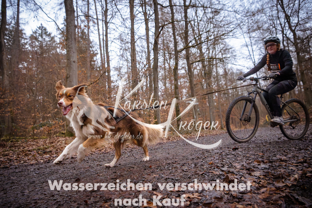 0819_ZZ94487 | kk-dogfotos