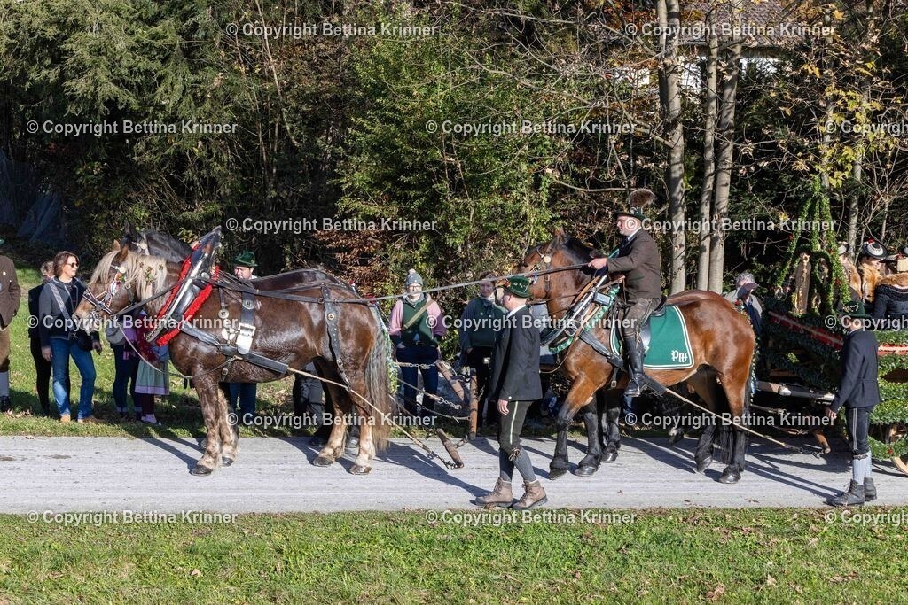 LBT24-776 | foto-bettina-krinner - Realisiert mit Pictrs.com