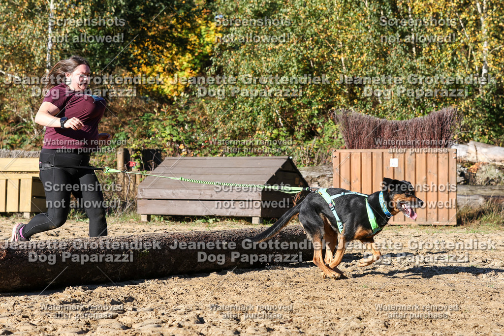 Dog Paparazzi - Strongdog 10-25-1897 | Dog Paparazzi Jeanette Grottendiek Fotografie & Videografie - Realisiert mit Pictrs.com