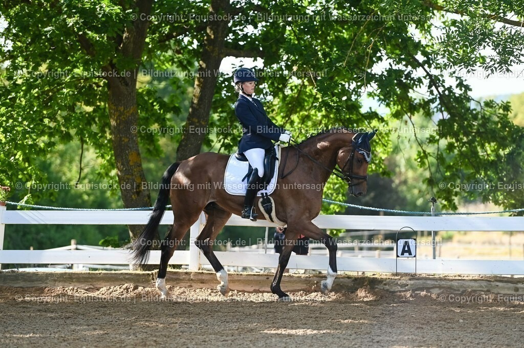 20230715_06_Dressurpferdeprfg. Kl.A_0198 | equistock