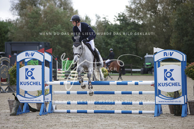 1J2A8557Edouard Hennau_ Maleika I_ Kn700_ Havekost | Foto- und Videografie für alles rund ums Pferd. Hochwertige Bilder und Videos vom Spring- und Dressurreiten, Voltigieren & mehr. Jetzt aktuelle Veranstaltungen und Preise im Shop ansehen. - Realisiert mit Pictrs.com