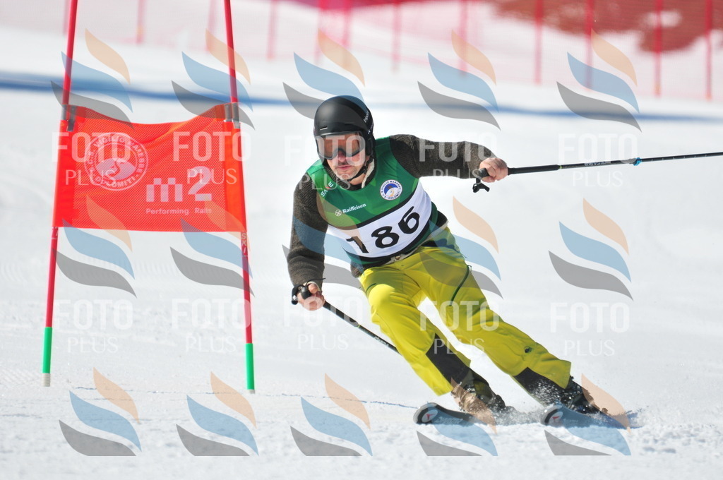 C4341 | holidayphoto