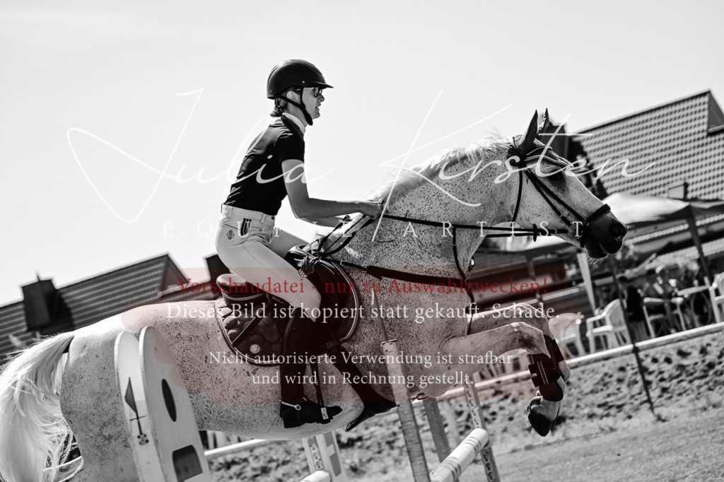 DSC_1096 | Pferde- und Turnierfotografie in Westsachsen. Pferdeportraits, Auftragszeichnungen und intuitive Kunst.