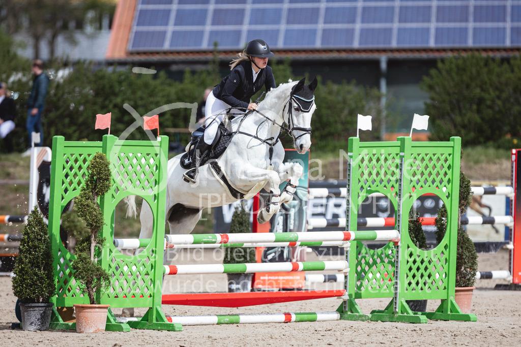 250419_Frühlingsfest_A-Stil1-493 | Deine schönsten Turniermomente als professionelle Fotos! Entdecke hochwertige Pferdesport-Fotografie im Online-Shop. Jetzt Fotos finden & bestellen!