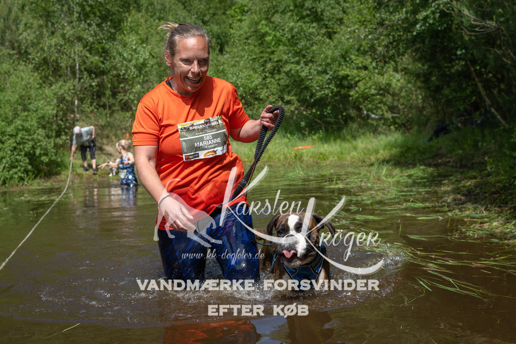 1203DKK991674 | kk-dogfotos