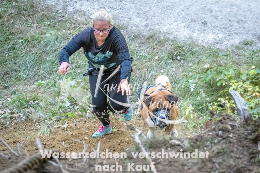 1201_ZZ92971 | kk-dogfotos