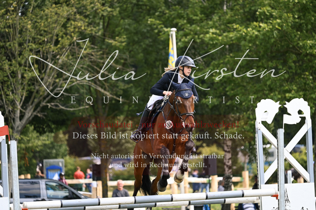 DSC_9033 | Pferde- und Turnierfotografie in Westsachsen. Pferdeportraits, Auftragszeichnungen und intuitive Kunst.