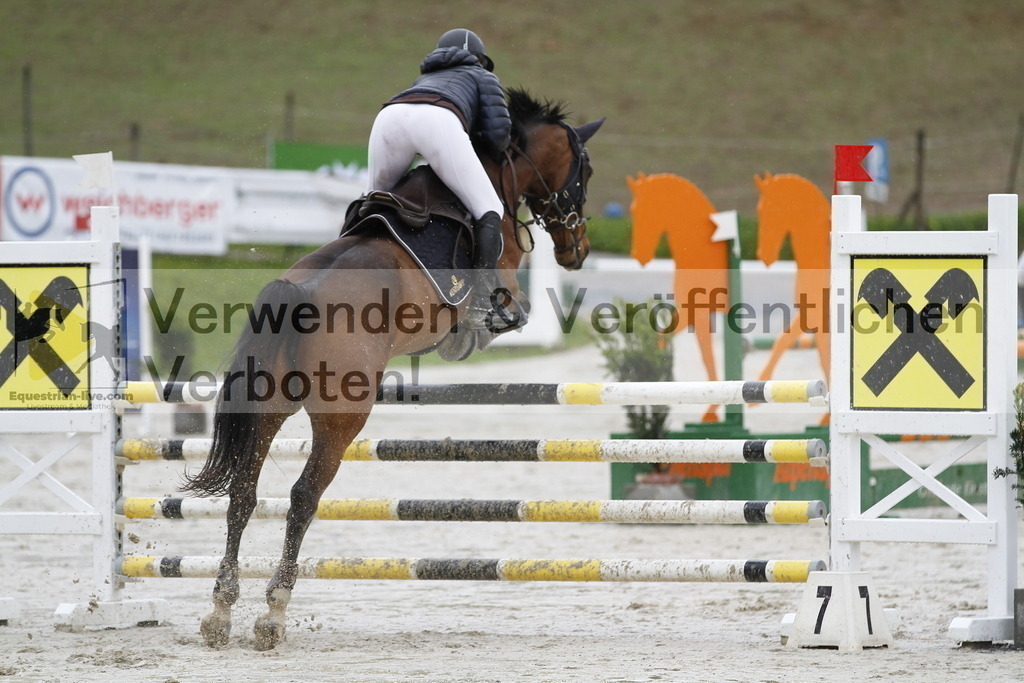 _MG_1167 | equestrian-live-com