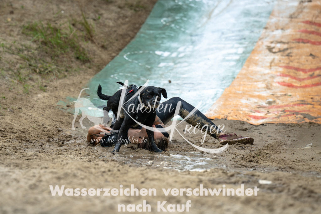 0951_ZZ91271-Verbessert-RR | kk-dogfotos
