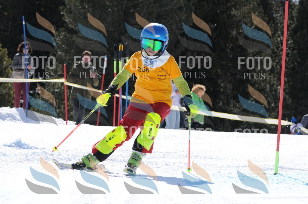 C8955 | holidayphoto