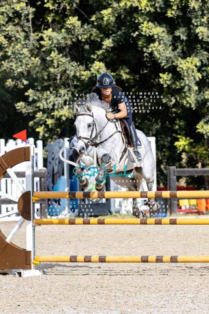 IMG_4141 | s-jay-photography - Realisiert mit Pictrs.com