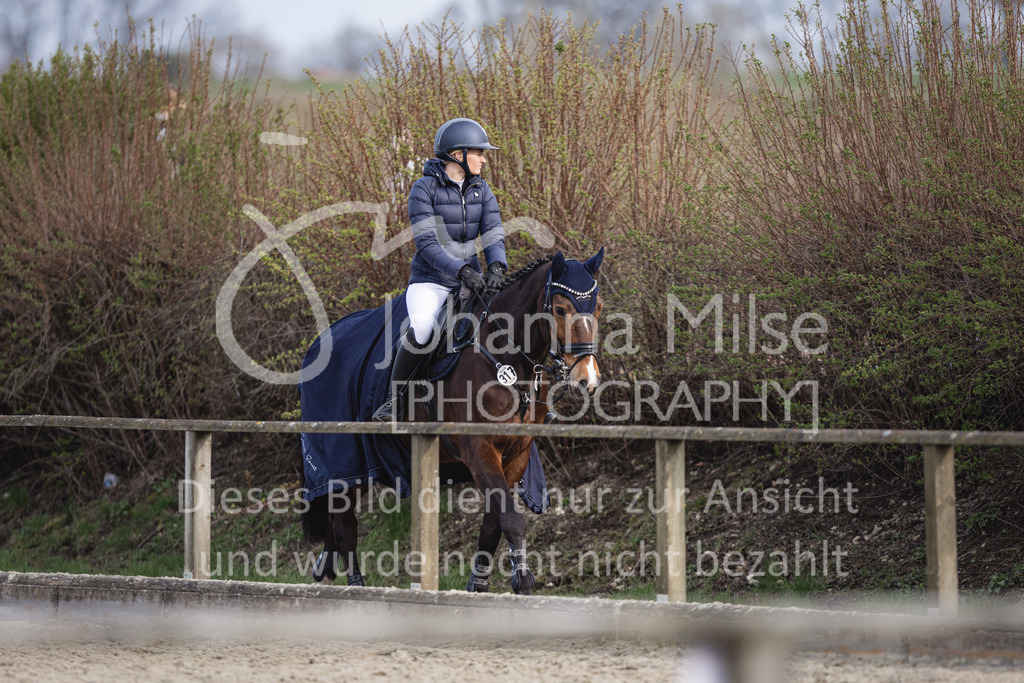 230406_Frühlingsfest_A-Stil1-100 | Deine schönsten Turniermomente als professionelle Fotos! Entdecke hochwertige Pferdesport-Fotografie im Online-Shop. Jetzt Fotos finden & bestellen!