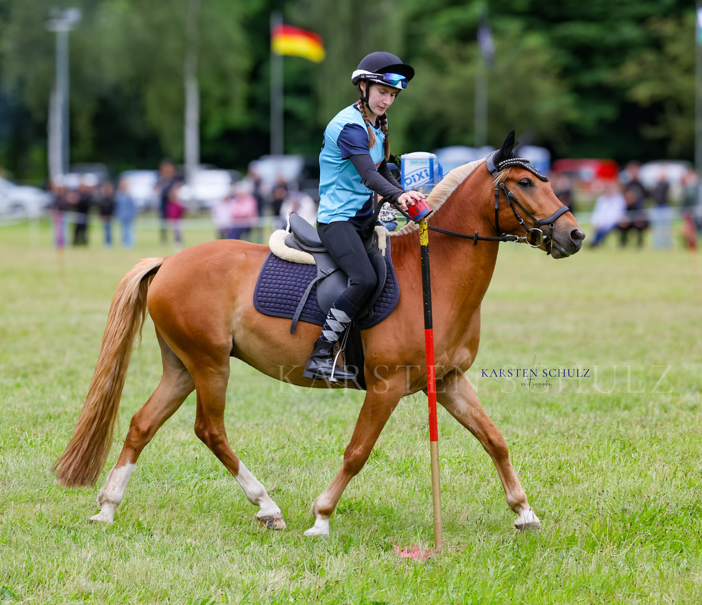 1B3A0328 | Reitsport Reiten