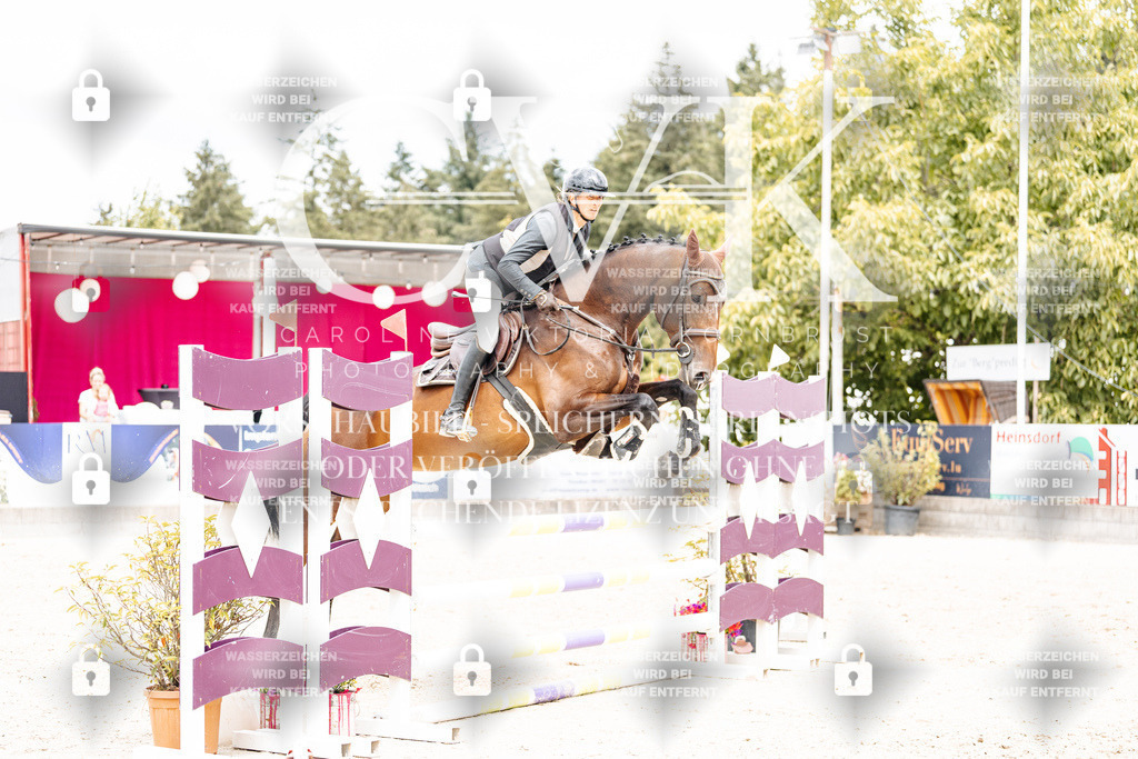 CK909761 | Turnierfotografie Pferdefotografie Trier Rheinland-Pfalz Pferdesport Reitsport Tierfotografie Sportfotografie Pferdevideo Pferdevideografie Equestrianvideography equestrianphotography  - Realisiert mit Pictrs.com