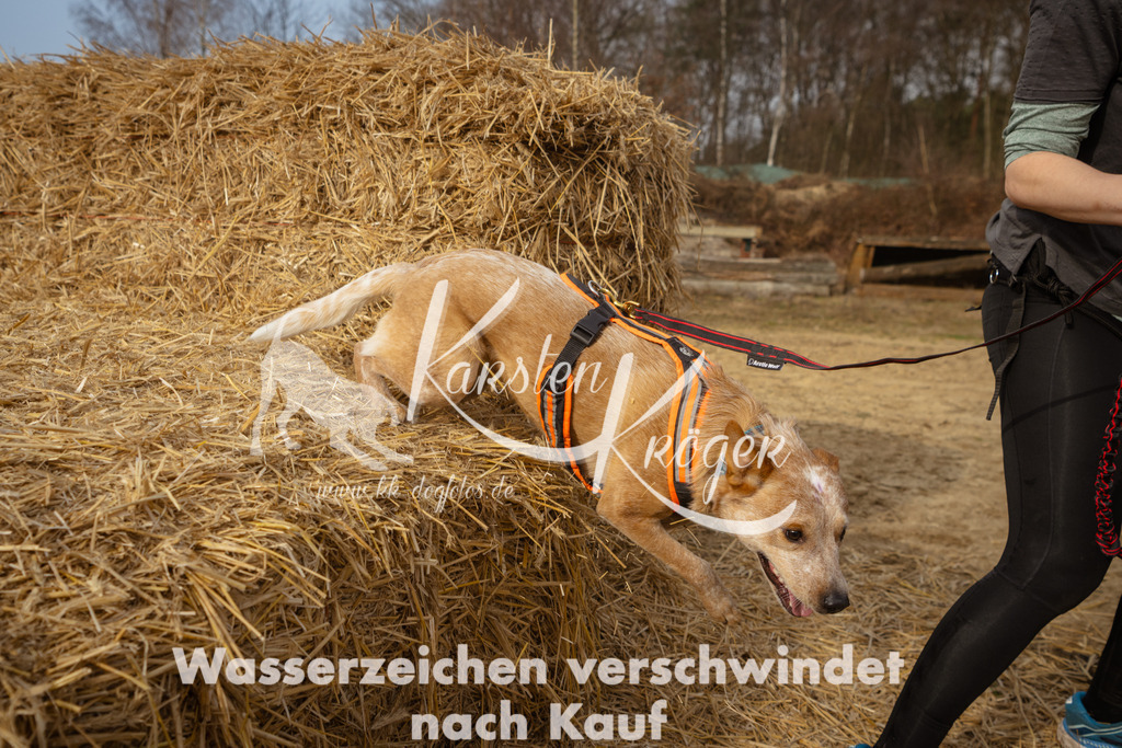 1022_ZZ94721 | kk-dogfotos