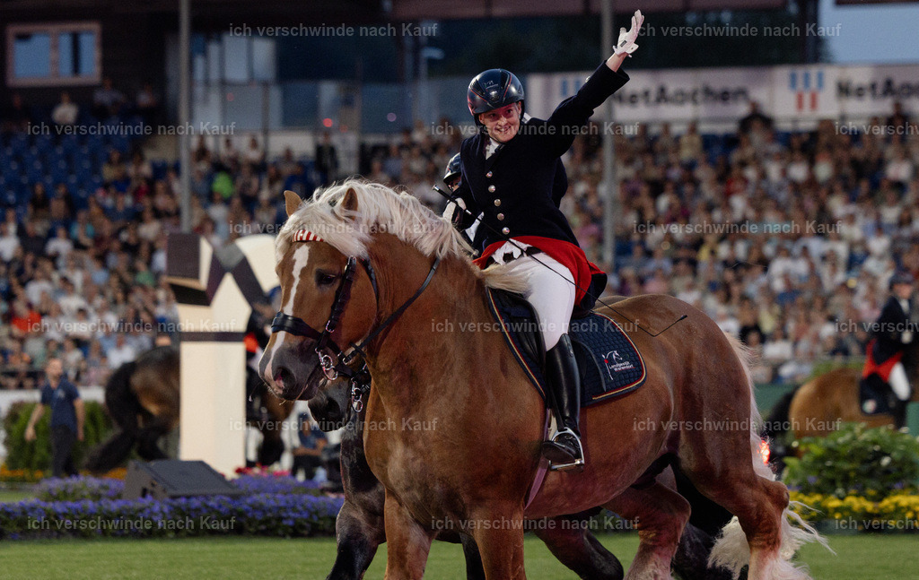 TSCHIO26_PferdundSinfonie_StoibphotographyTSCHIO26_Pferd-Sinfonie_Stoibphotography_AM11548.CR3.jpg | working equitationturnier fotograf videograf stoibphotography marixx film working equitation deutschland reitsport turnierfotografie eventfotografie equestrian events