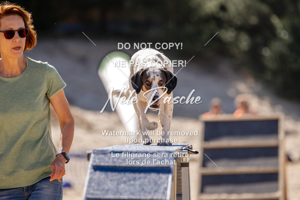 NR__0780 | nelerasche