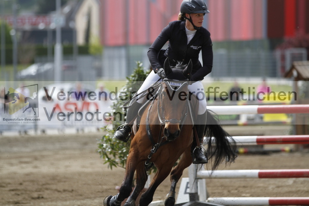 _MG_2513 | equestrian-live-com