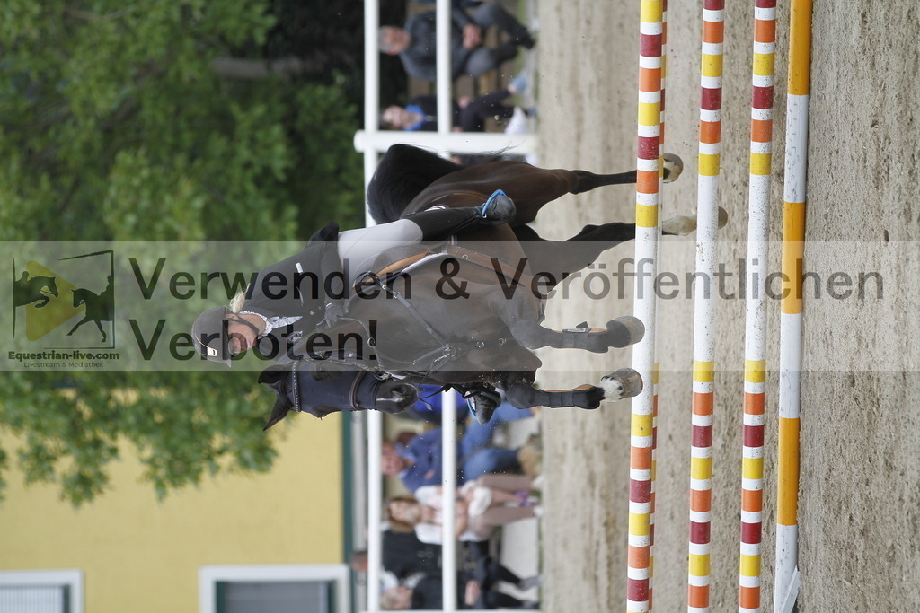 _MG_1096 | equestrian-live-com