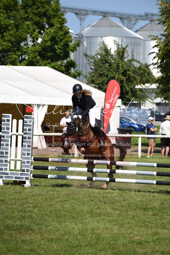 DSC_9412 | Pferde- und Turnierfotografie in Westsachsen. Pferdeportraits, Auftragszeichnungen und intuitive Kunst.
