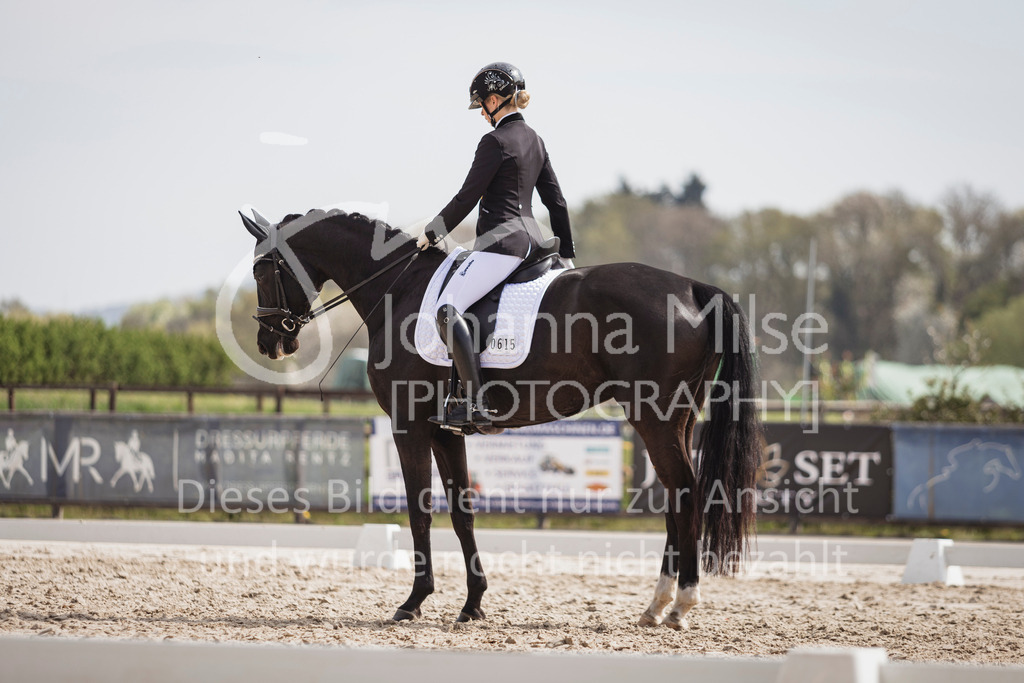 250416_Dressurpferde-L-212 | Deine schönsten Turniermomente als professionelle Fotos! Entdecke hochwertige Pferdesport-Fotografie im Online-Shop. Jetzt Fotos finden & bestellen!