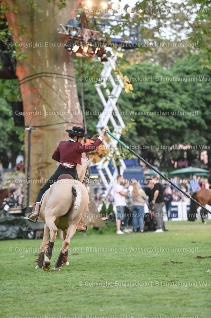 20230526_Pferdenacht_0726 | equistock