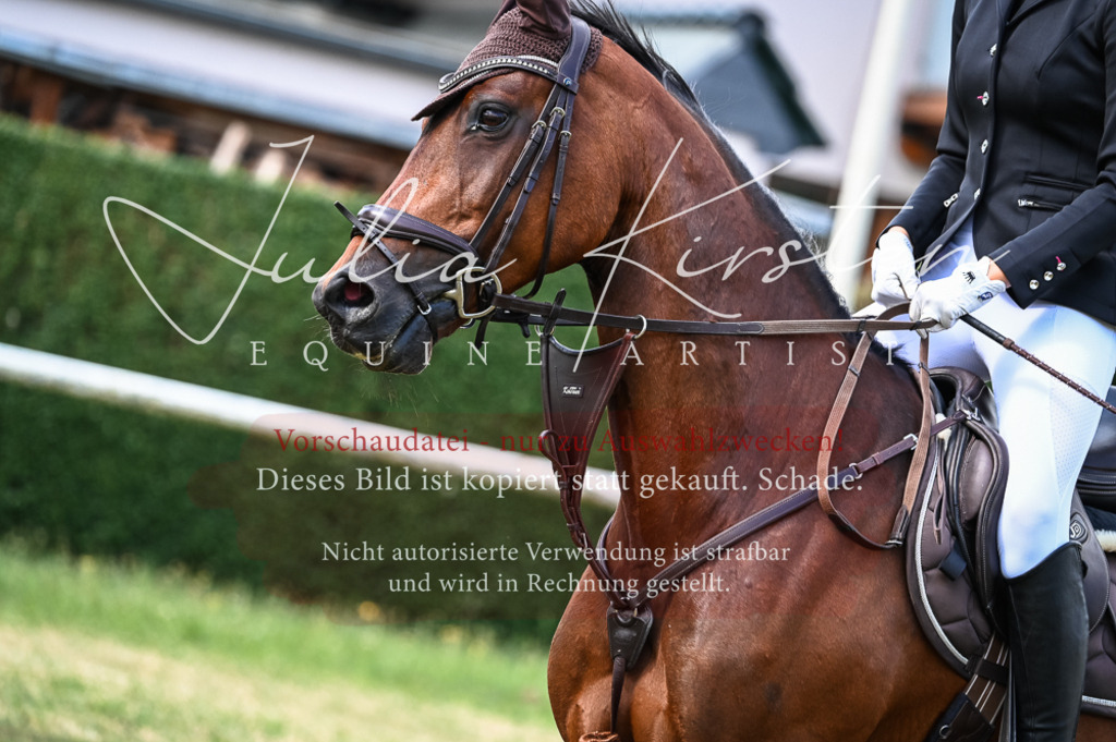 DSC_8485 | Pferde- und Turnierfotografie in Westsachsen. Pferdeportraits, Auftragszeichnungen und intuitive Kunst.