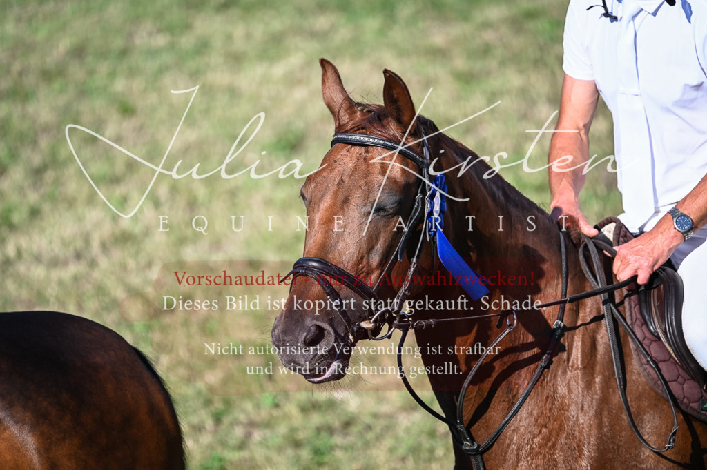 DSC_2614 | Pferde- und Turnierfotografie in Westsachsen. Pferdeportraits, Auftragszeichnungen und intuitive Kunst.