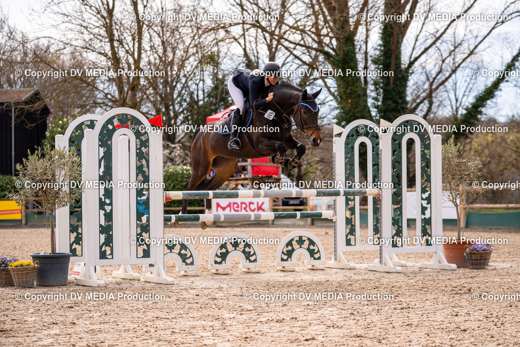 Kranichstein Tag 2-584 | dv-media-shop - Realisiert mit Pictrs.com