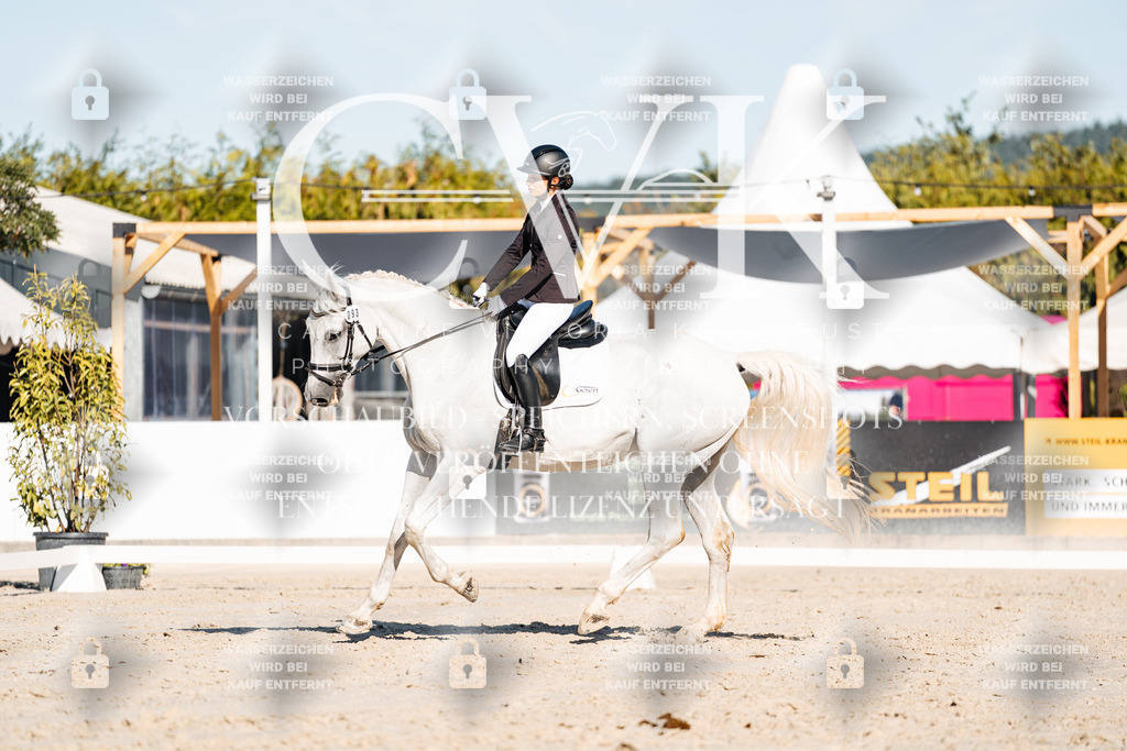 CK907452 | Turnierfotografie Pferdefotografie Trier Rheinland-Pfalz Pferdesport Reitsport Tierfotografie Sportfotografie Pferdevideo Pferdevideografie Equestrianvideography equestrianphotography  - Realisiert mit Pictrs.com