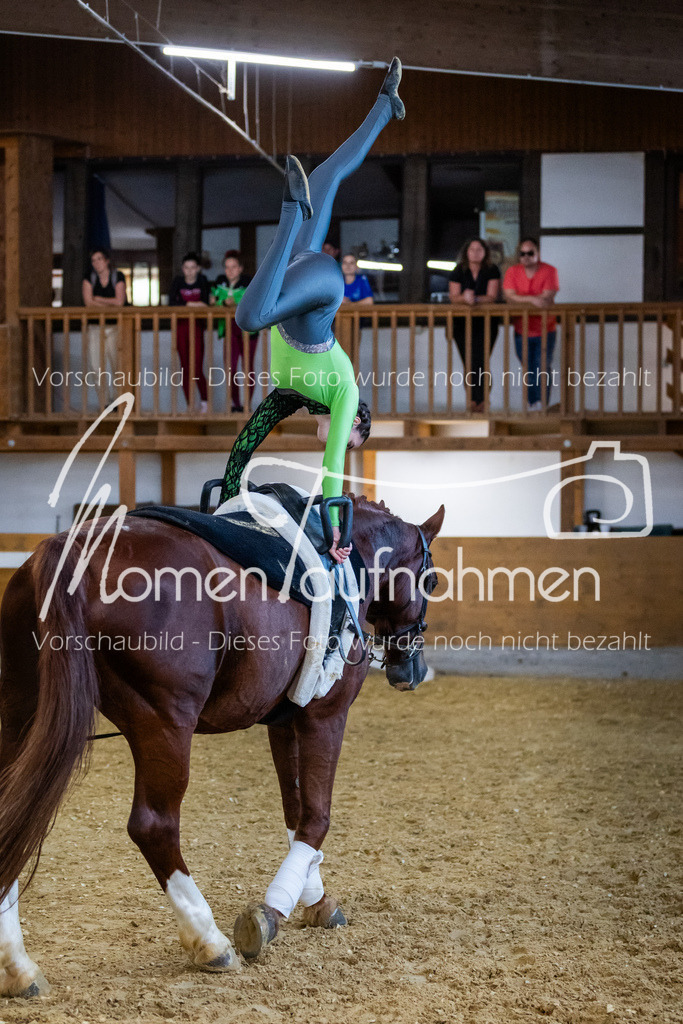 Einzel-100 | MomenTaufnahmen Pferdesportfotos