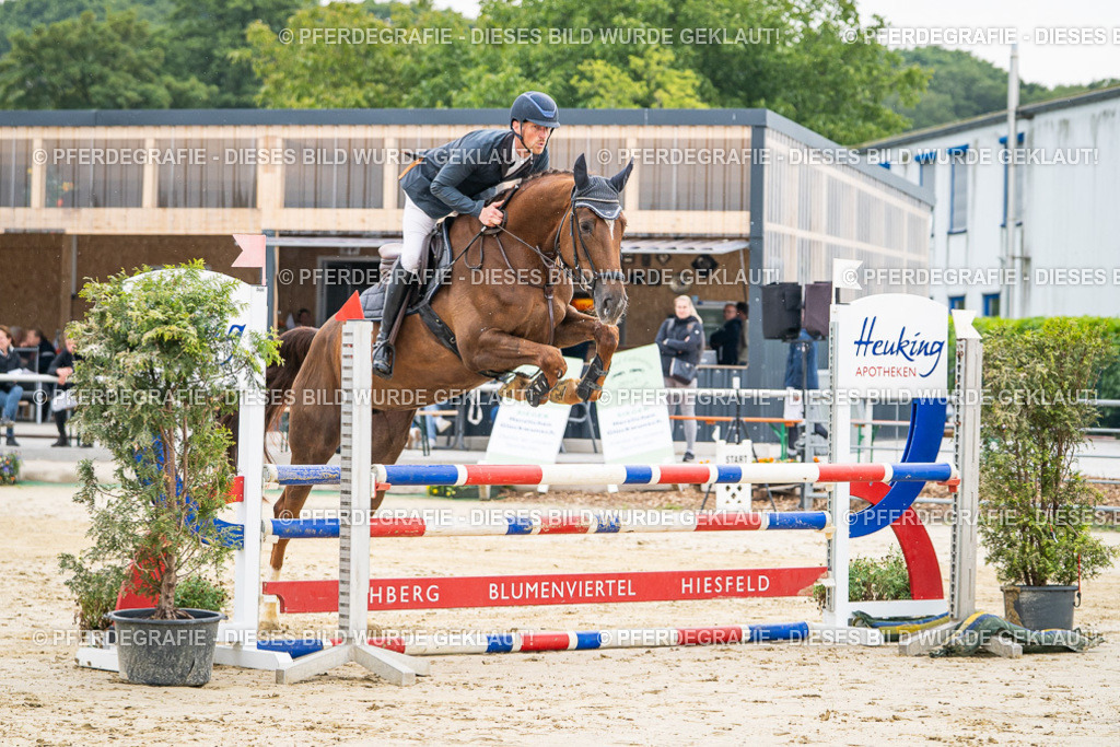 DSC09323 | Pferdegrafie