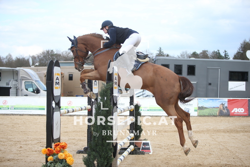 AS8V8471 | Willkommen bei Brunnmayr - Design & Fotografie – Ihrem Spezialisten für Reitturniere und Pferdeveranstaltungen in Oberösterreich, Salzburg und Bayern! Seit über 17 Jahren sind wir leidenschaftlich dabei.