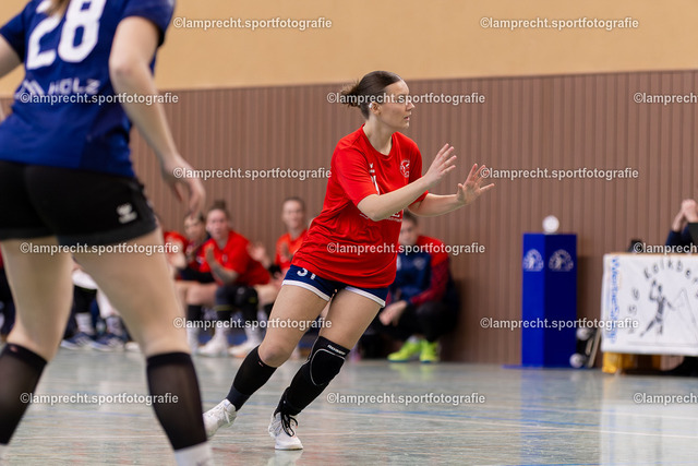 Handball I Damen I Saison 2025-2026 I Verbandsliga Süd I 15. Spieltag I HSG Kalkberg 06 - HSG Holsteinische Schweiz 100 | Jette Ausborn (31, HSG Holsteinische Schweiz) - Realisiert mit Pictrs.com