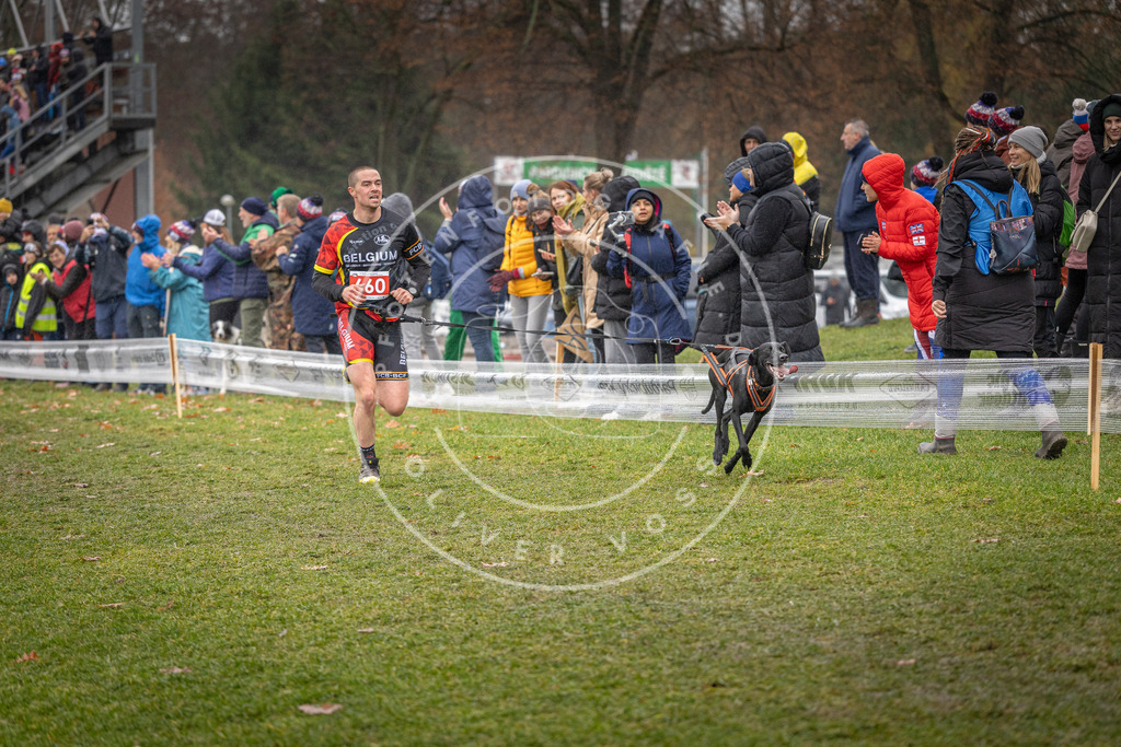 CaniXpix_DV3A9950 | Hundefotografie, Tierfotograf, Pfotenfotografie, Fotoshooting Hund, Hunde Portrait, Hundesport, Hundeportraits, Heideshooting, Hunde, Sportfotograf, Hundefotograf, Turnierhundsport, THS,  - Realisiert mit Pictrs.com