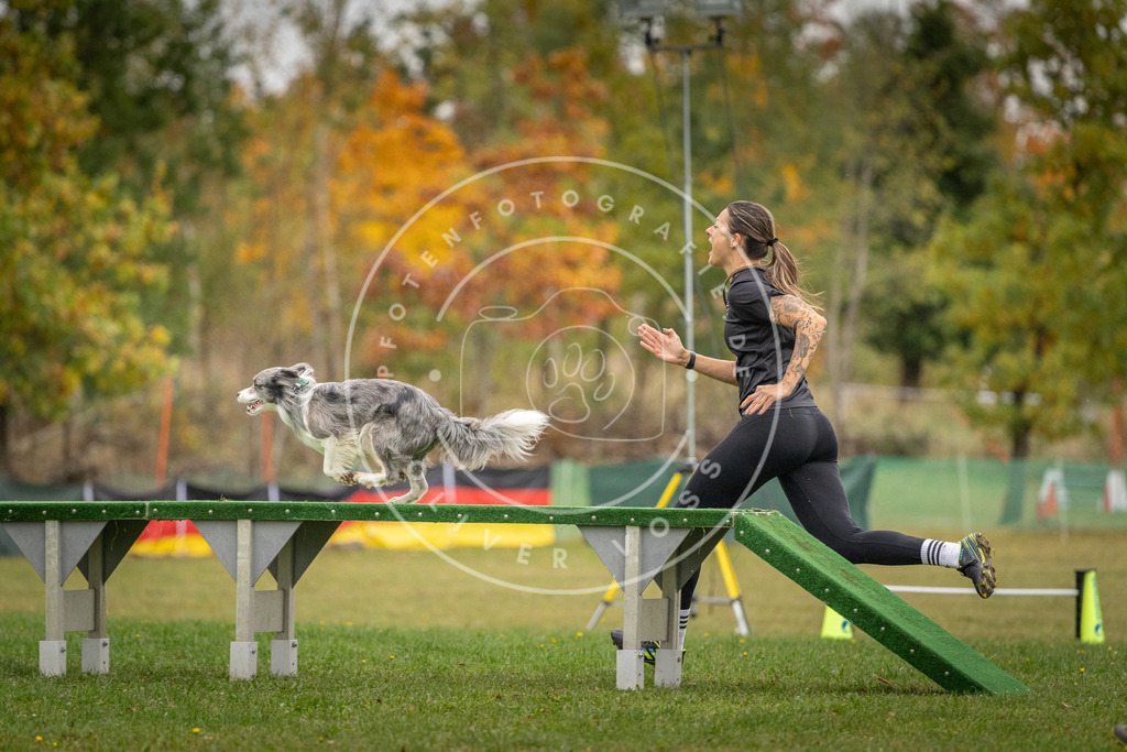 Pfotenfotografie_DV3A9672 | Hundefotografie, Tierfotograf, Pfotenfotografie, Fotoshooting Hund, Hunde Portrait, Hundesport, Hundeportraits, Heideshooting, Hunde, Sportfotograf, Hundefotograf, Turnierhundsport, THS,  - Realisiert mit Pictrs.com