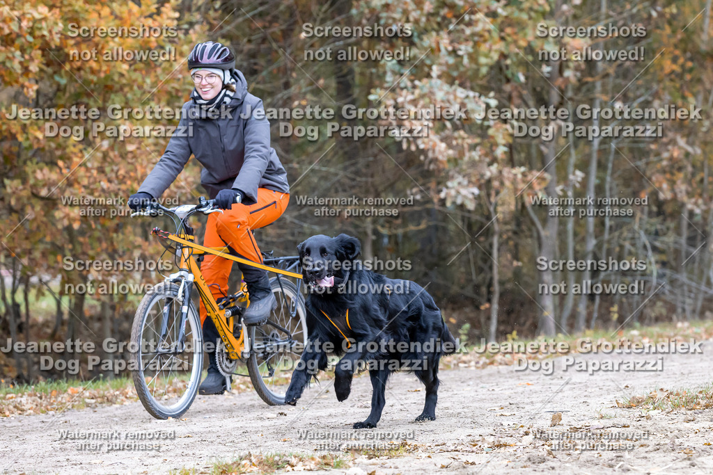 Dog Paparazzi - SD CaniX Championship 2025-586 | Dog Paparazzi Jeanette Grottendiek Fotografie & Videografie - Realisiert mit Pictrs.com