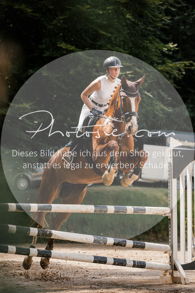 3I6A8062 | Stimmungsvolle Portraits und Reitsportfotografie im Ruhrgebiet und im Münsterland.

Pferdefotografie, Hundefotografie, Tierfotografie, Reportagen, Portraits von Tier und Mensch, Turnierfotografie in Bochum, Recklinghausen, Marl, Haltern am See, Dülmen.. - Realisiert mit Pictrs.com