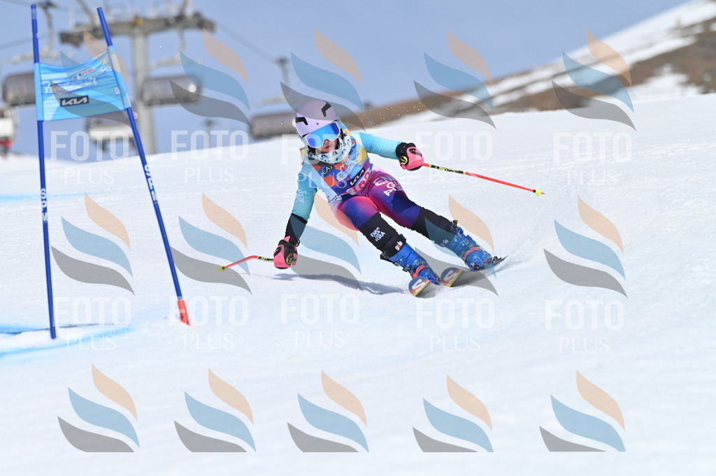 BGV_0651 | holidayphoto