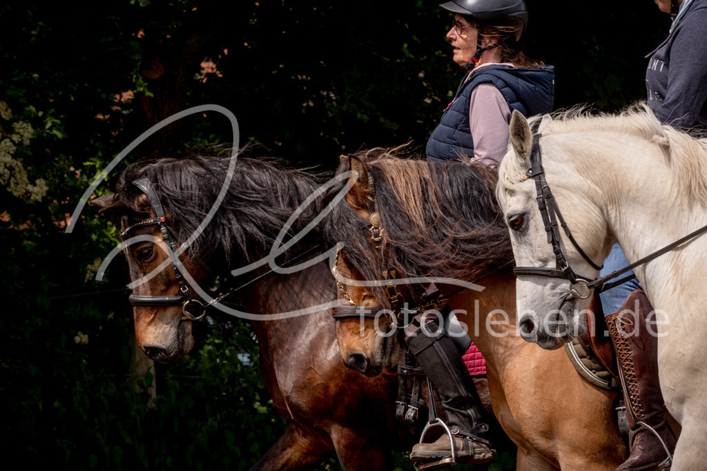 846A1039 | fotosleben - Realisiert mit Pictrs.com