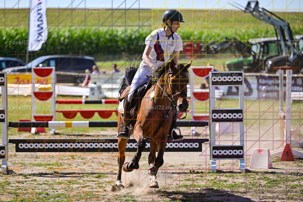 30 Jahre RFV Pulsnitz e.V., Pulsnitz am 09.08.2026 | Zur 28. breitensportlichen Veranstaltung des RFV Pulsnitz e.V. fanden verschiedene Wettbewerbe in nahezu allen Disziplinen des Pferdesport statt. - 06 Standard-Spring-Wettbewerb - Realisiert mit Pictrs.com