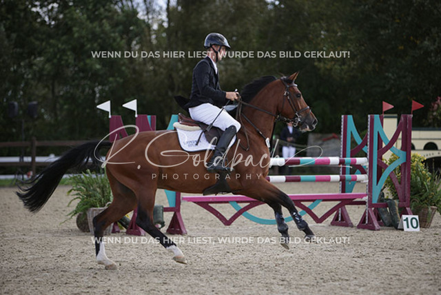 1J2A4540Alexander Liebe_ Can_t Touch This III HS_ Kn098_ Havekost | Foto- und Videografie für alles rund ums Pferd. Hochwertige Bilder und Videos vom Spring- und Dressurreiten, Voltigieren & mehr. Jetzt aktuelle Veranstaltungen und Preise im Shop ansehen. - Realisiert mit Pictrs.com