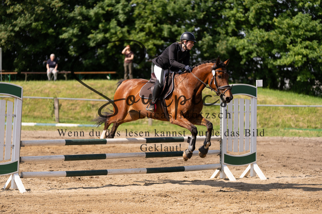 A7507376 | Turnier/Reitfotograf