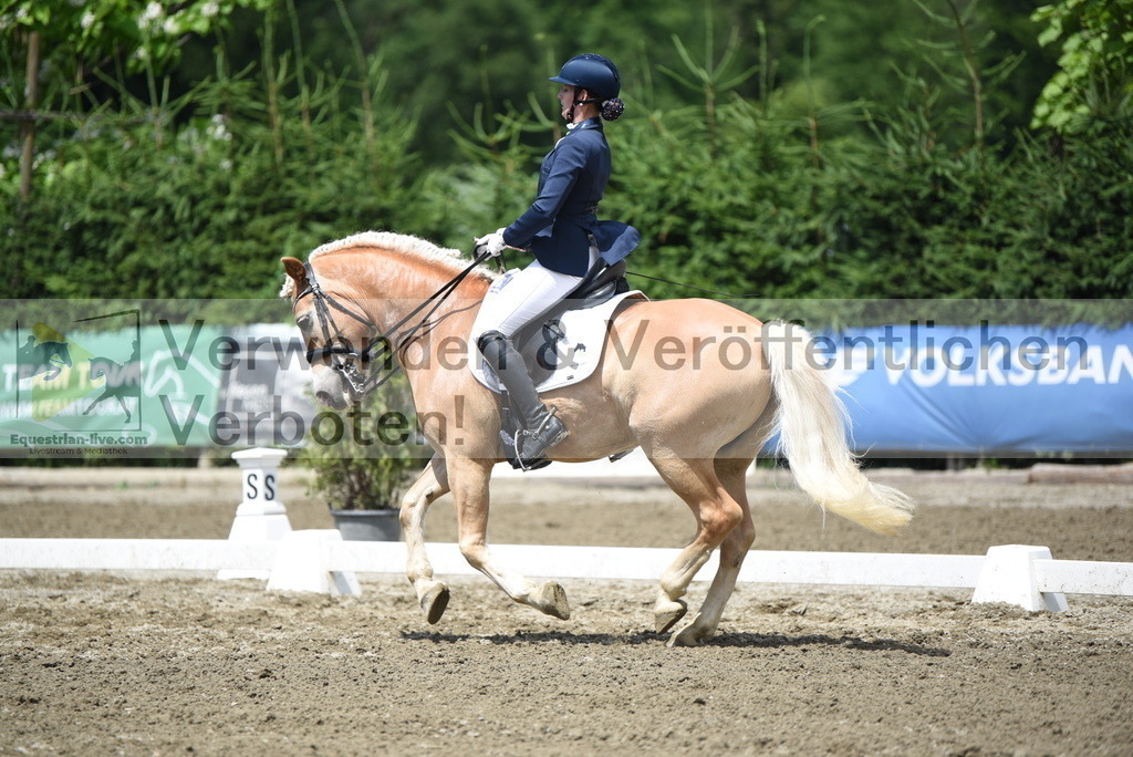 DSC_1315 | equestrian-live-com