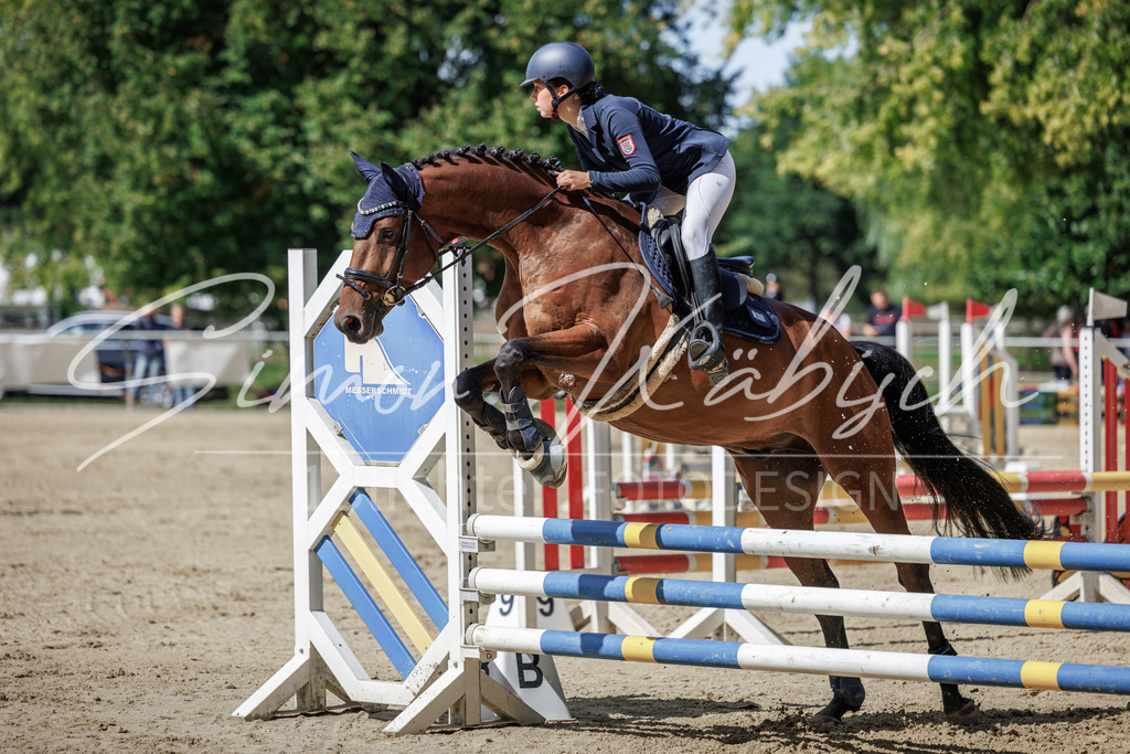 20260905-_3LI8610 | Tierfotografie Pferde, Hunde, Katzen, Haustiere.
Turnierfotografie Reitturniere, Reiten, Springreiten, Dressur in Hanau, dem Main-Kinzig-Kreis und dem Rhein-Main- Gebiet um Frankfurt