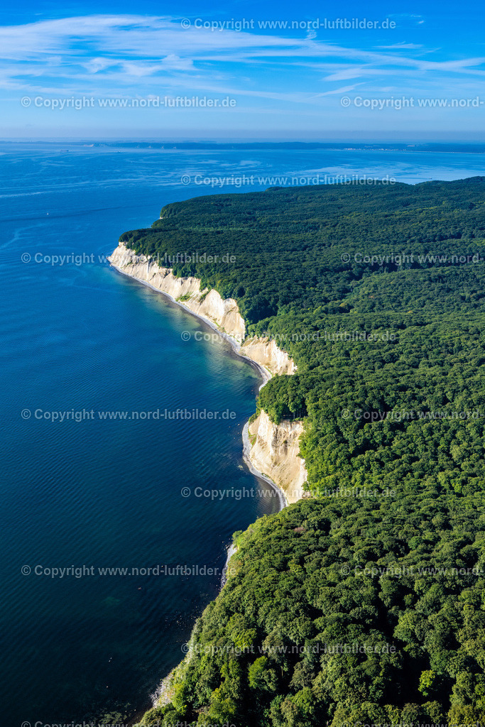 Kreidefelsen_Rügen_Els_7053100822 | SASSNITZ 10.08.2022 Blick auf die Kreideküste im Nationalpark Jasmund bei Sassnitz auf der Insel Rügen in Mecklenburg-Vorpommern. Der markante Felsvorsprung Königsstuhl befindet sich in der Umgebung der Stubbenkammer in dem seit 1990 bestehenden Nationalpark am Ufer zur Ostsee mit einem Buchenwald, der teilweise zum UNESCO-Welterbe gehört. Weiterführende Informationen bei: Nationalpark-Zentrum KÖNIGSSTUHL Sassnitz gemeinnützige GmbH. // View of the chalk cliff coast in the National Park Jasmund near Sassnitz on the island Ruegen in Mecklenburg-West Pomerania. Further information at: Nationalpark-Zentrum KOeNIGSSTUHL Sassnitz gemeinnuetzige GmbH. Foto: Martin Elsen