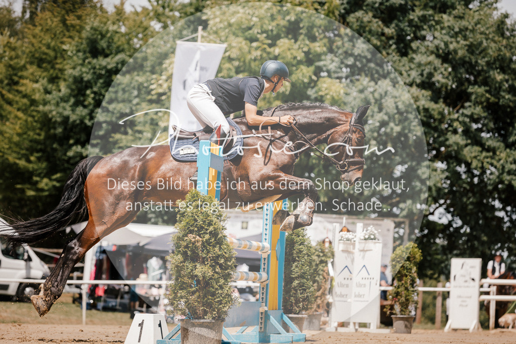 3I6A8075 | Stimmungsvolle Portraits und Reitsportfotografie im Ruhrgebiet und im Münsterland.

Pferdefotografie, Hundefotografie, Tierfotografie, Reportagen, Portraits von Tier und Mensch, Turnierfotografie in Bochum, Recklinghausen, Marl, Haltern am See, Dülmen.. - Realisiert mit Pictrs.com