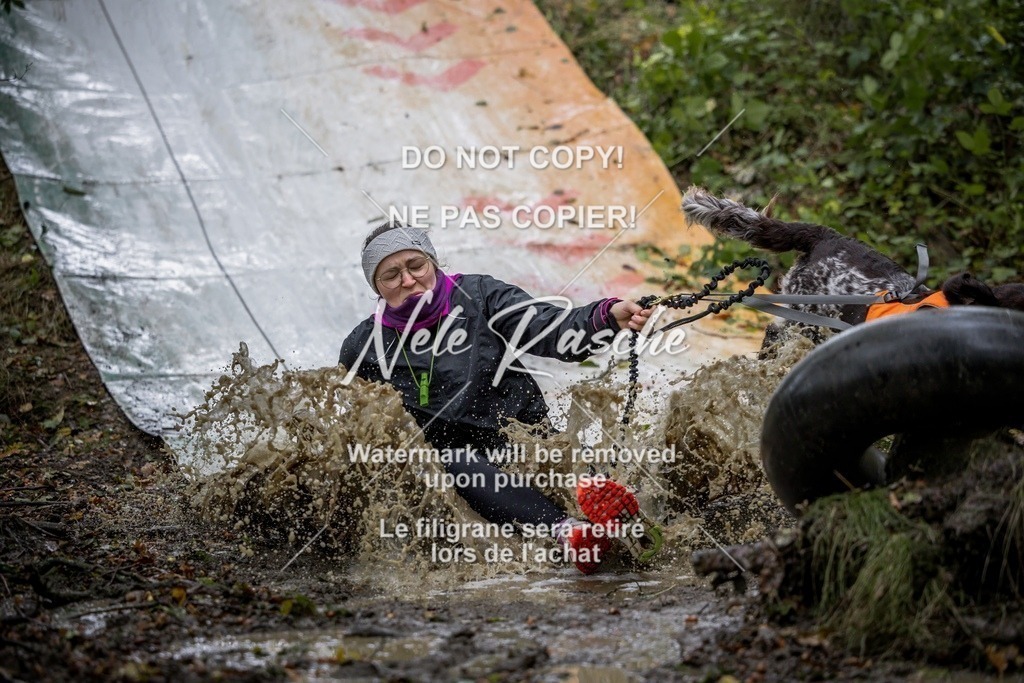 nelerasche_Hunsrück_Sa0930-1000_260-final | nelerasche