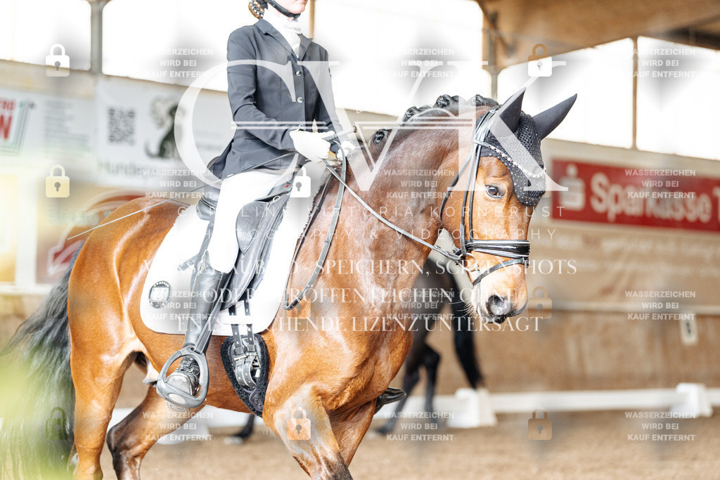 CK901474 | Turnierfotografie Pferdefotografie Trier Rheinland-Pfalz Pferdesport Reitsport Tierfotografie Sportfotografie Pferdevideo Pferdevideografie Equestrianvideography equestrianphotography  - Realisiert mit Pictrs.com